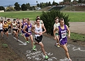 2010NCSXC BD3-022